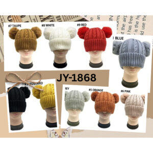 JY-1868 ASST Winter Hat (3PCS)