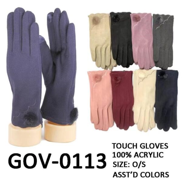 GOV-0113-600×593