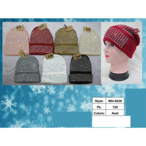 WH-8530 ASST Winter Lining Bling Hat(3PCS)