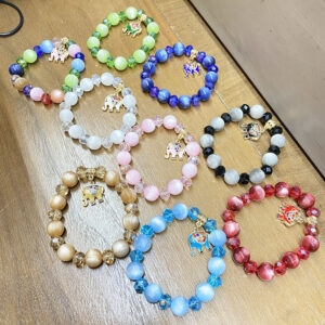 BRC0555 ASST Elephant Charm Adjustable Beaded Bracelets (6pcs)
