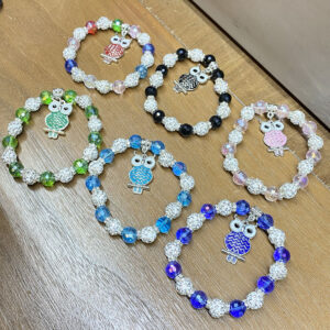 BRC0557 ASST Owl Charm Adjustable Beaded Bracelets (12pcs)