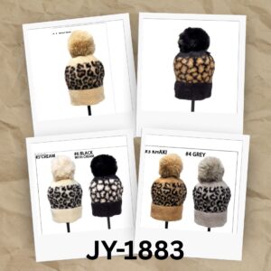 JY-1883 ASST Winter Hat (3PCS)