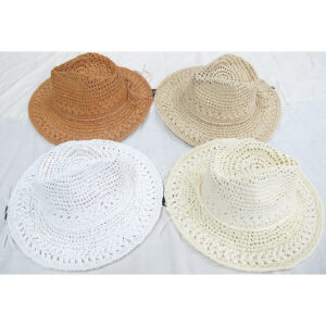 SH2441-5 ASST Straw Fashion Hat (3pcs)