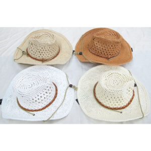 SH2441-6 ASST Straw Fashion Hat (3pcs)